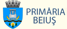 Consultanta achiziti publice - fonduri europene - Beius - Bihor