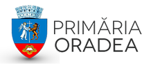 consultanta achiziti publice